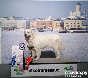: 05.12.2015  Helsinki Winner 2015.