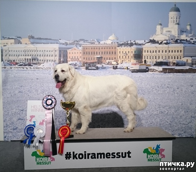  1: 05.12.2015  Helsinki Winner 2015.