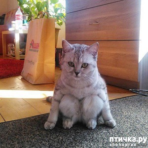 ����: ������� �����, ������� ���������� ������ ��-�������