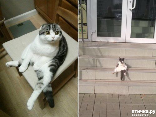 ���� 4: ������� �����, ������� ���������� ������ ��-�������