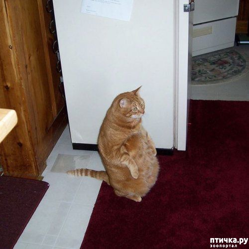 ���� 5: ������� �����, ������� ���������� ������ ��-�������