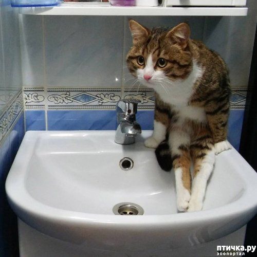 ���� 6: ������� �����, ������� ���������� ������ ��-�������