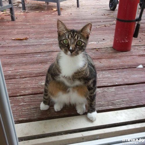 ���� 7: ������� �����, ������� ���������� ������ ��-�������