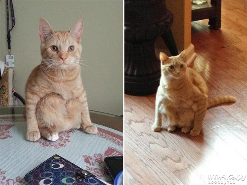 ���� 10: ������� �����, ������� ���������� ������ ��-�������