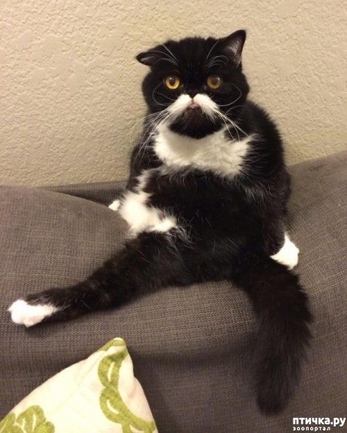 ���� 12: ������� �����, ������� ���������� ������ ��-�������