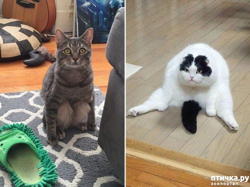 ���� 13: ������� �����, ������� ���������� ������ ��-�������