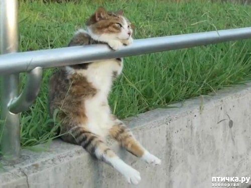 ���� 15: ������� �����, ������� ���������� ������ ��-�������