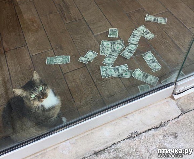 ���� 2: ������� � ���, ��� ������� ��� �� ������ ���� ������������ ������