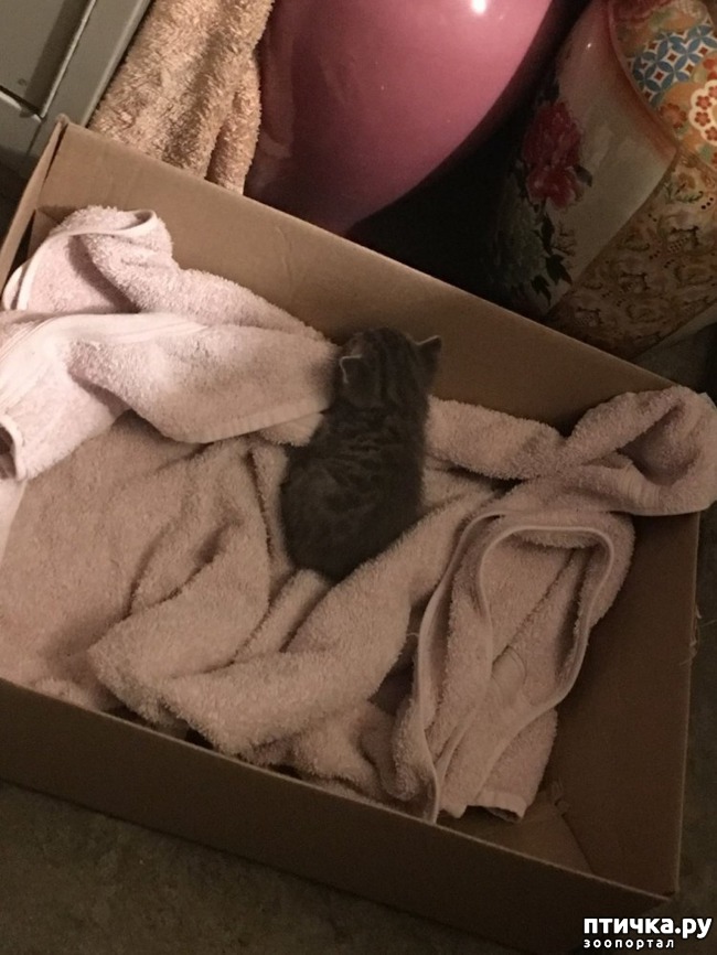 ���� 1: ��� �������� ����� ������ ����� � ��� ����� ������� ������.