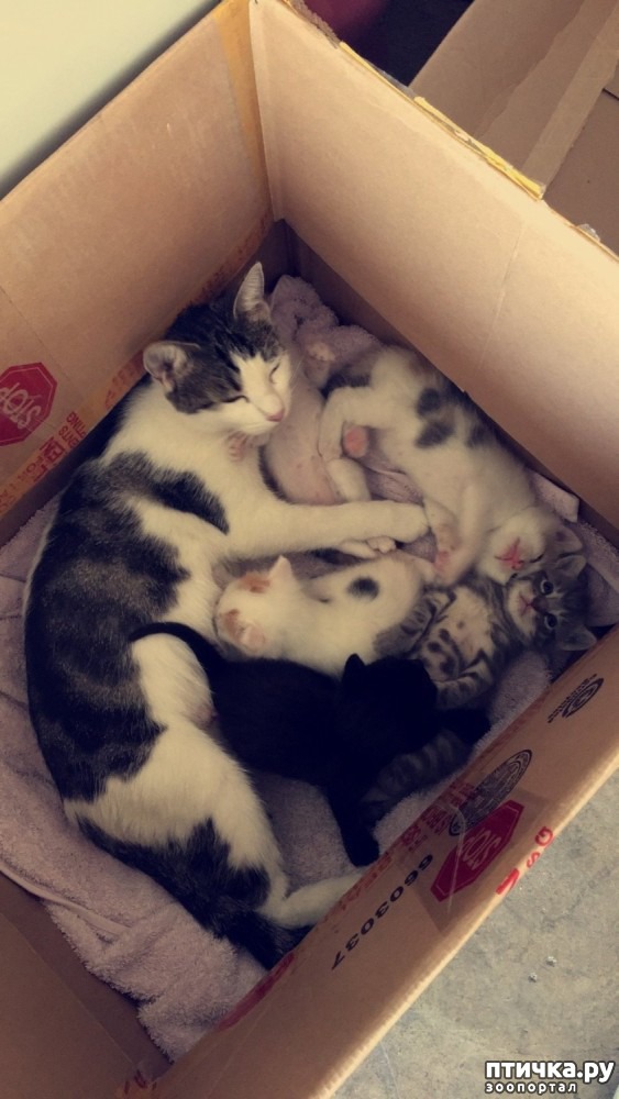 ���� 4: ��� �������� ����� ������ ����� � ��� ����� ������� ������.