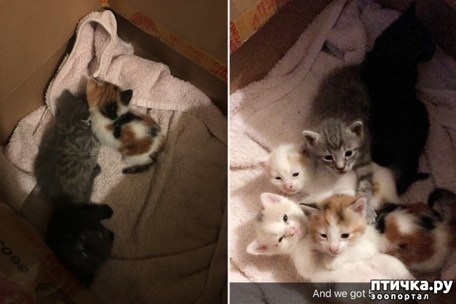 ���� 5: ��� �������� ����� ������ ����� � ��� ����� ������� ������.