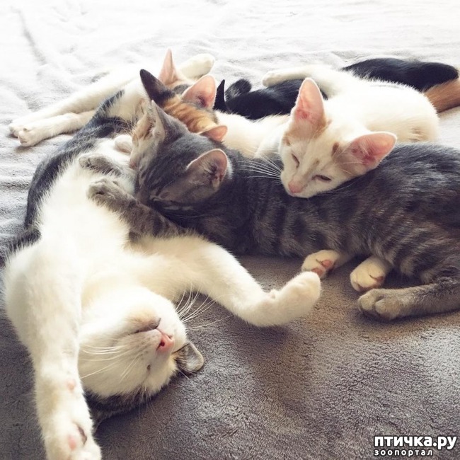 ���� 6: ��� �������� ����� ������ ����� � ��� ����� ������� ������.