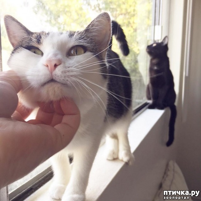 ���� 7: ��� �������� ����� ������ ����� � ��� ����� ������� ������.