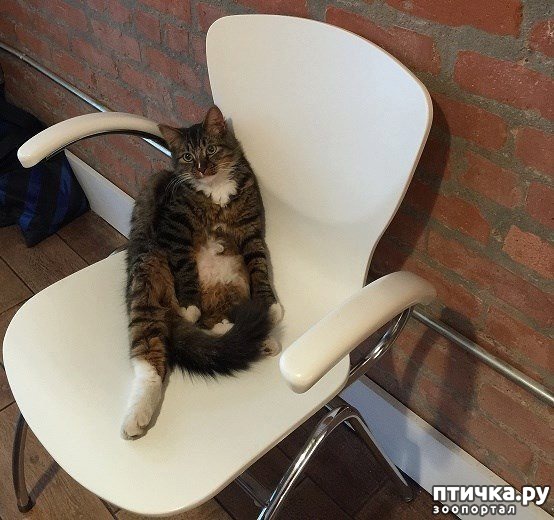 ���� 6: ������� � ���, ��� ������� ��� �� ������ ���� ������������ ������