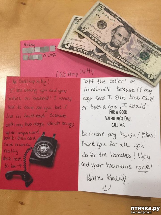 ���� 7: ������� � ���, ��� ������� ��� �� ������ ���� ������������ ������