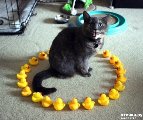 ���� 1: ������� �����, �������� �������� ������ �����