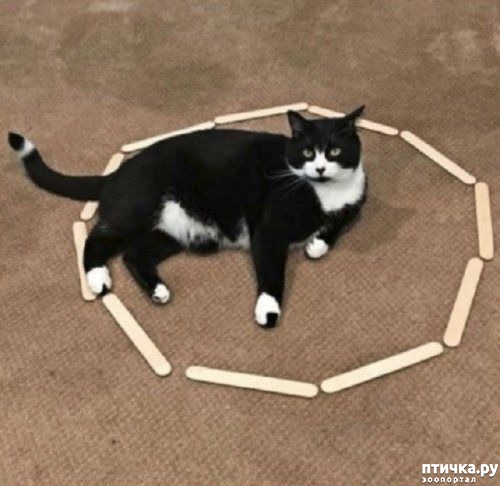 ���� 2: ������� �����, �������� �������� ������ �����