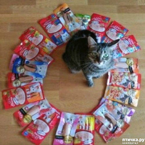 ���� 3: ������� �����, �������� �������� ������ �����