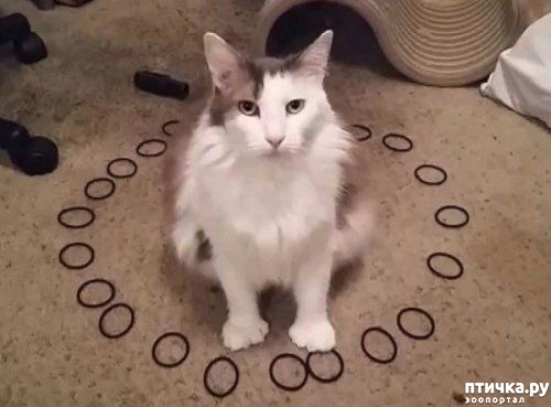 ���� 4: ������� �����, �������� �������� ������ �����