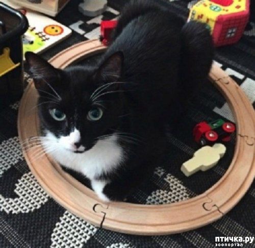 ���� 5: ������� �����, �������� �������� ������ �����