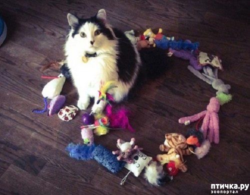 ���� 6: ������� �����, �������� �������� ������ �����