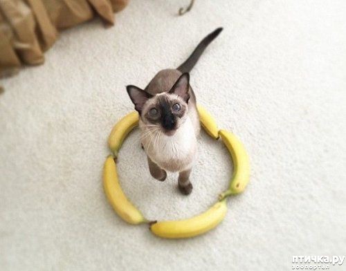 ���� 7: ������� �����, �������� �������� ������ �����