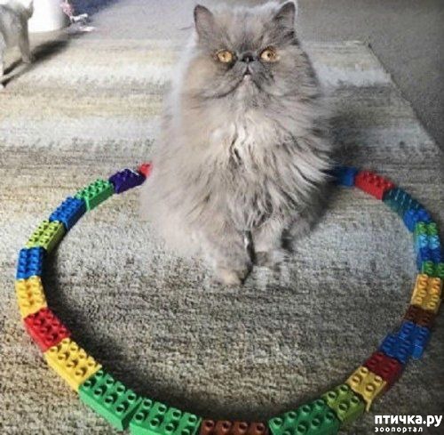 ���� 8: ������� �����, �������� �������� ������ �����