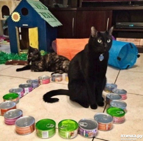 ���� 9: ������� �����, �������� �������� ������ �����