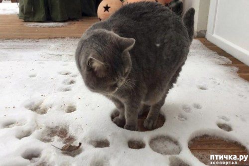 ���� 10: ������� �����, �������� �������� ������ �����