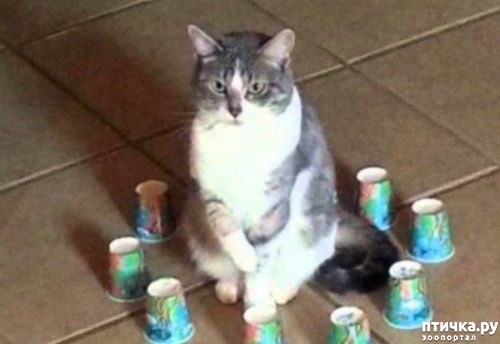 ���� 11: ������� �����, �������� �������� ������ �����