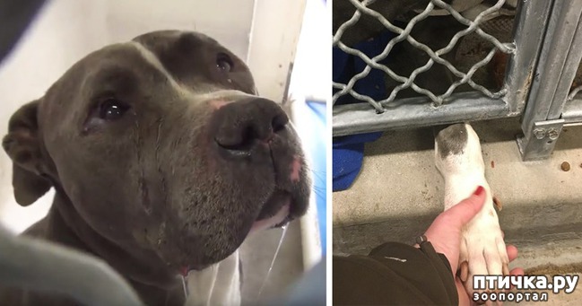 ���� 2: ������� ���� ������...