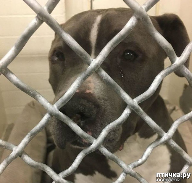 ���� 3: ������� ���� ������...