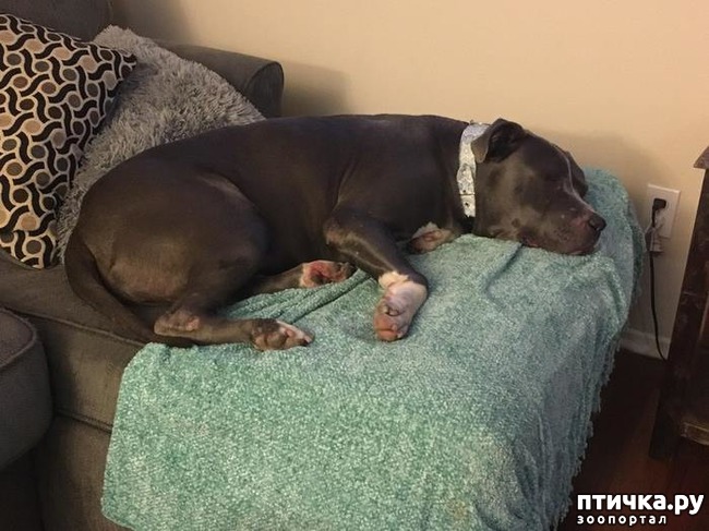 ���� 5: ������� ���� ������...