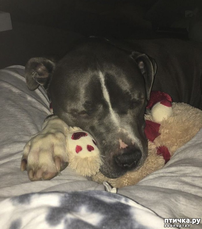 ���� 6: ������� ���� ������...