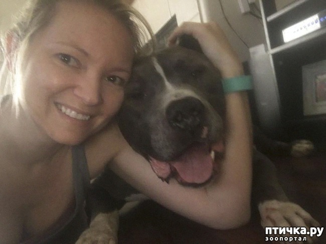 ���� 8: ������� ���� ������...