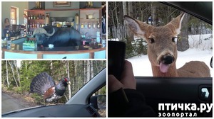 ����: ������ ������� � ��������� ������ ����� ������������.