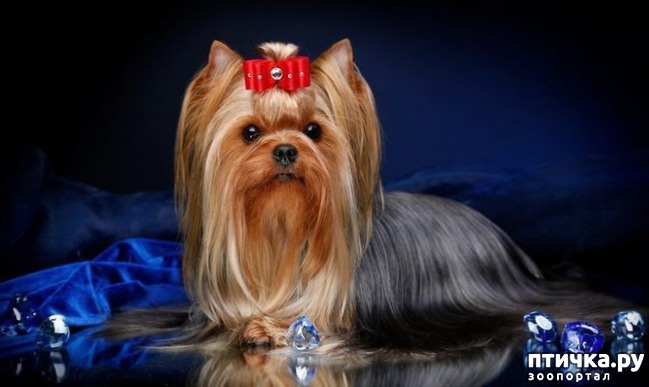 ���� 2: ��� ������ ��������� ���� �����