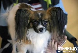 ����: � ������ � ������� ����������!