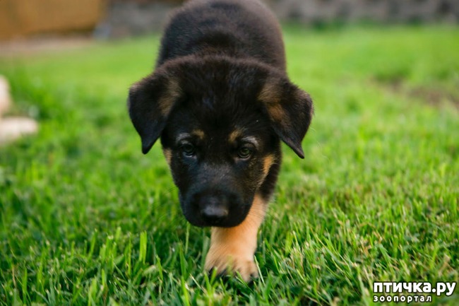 ���� 1: �����.