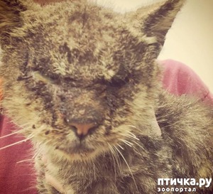 ����: ����� �� ����� ���� ������ ����������� � ���� �����