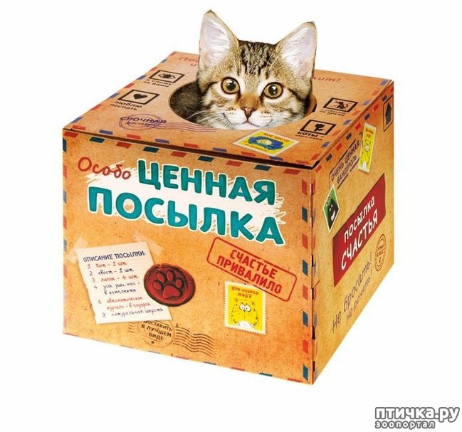 ���� 5: ������ ���... ��� �����))