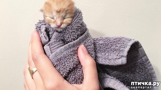 ���� 6: ������ ���... ��� �����))