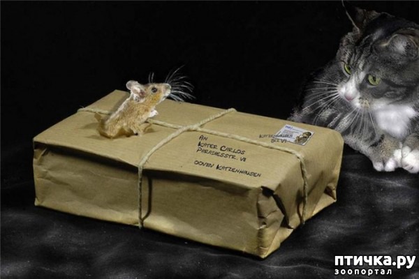 ���� 7: ������ ���... ��� �����))