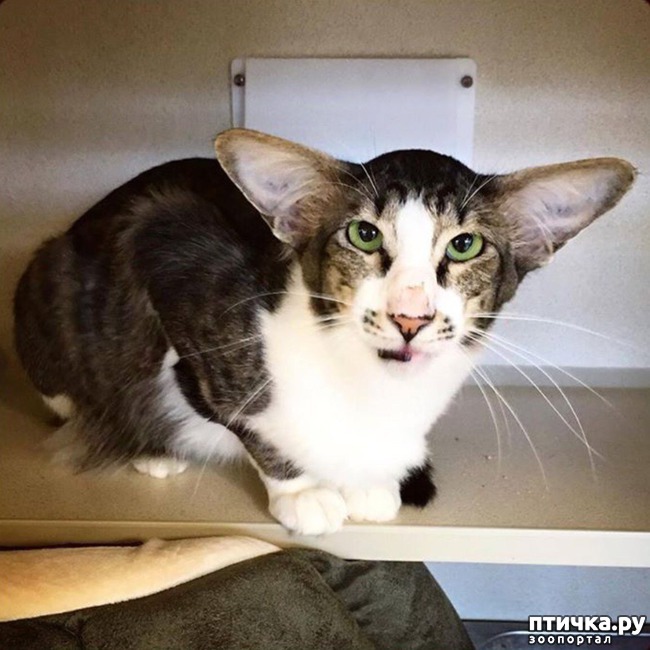 ���� 12: ������ ���... ��� �����))