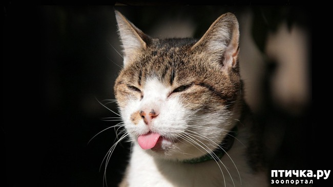 ���� 14: ������ ���... ��� �����))