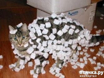 ���� 16: ������ ���... ��� �����))