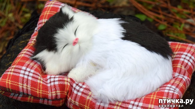 ���� 17: ������ ���... ��� �����))