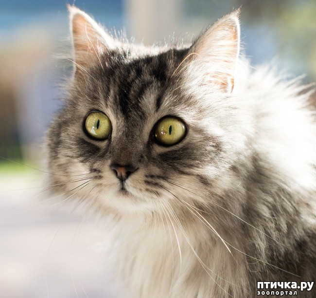 ���� 1: ��� ����� ������������ ���������� ���