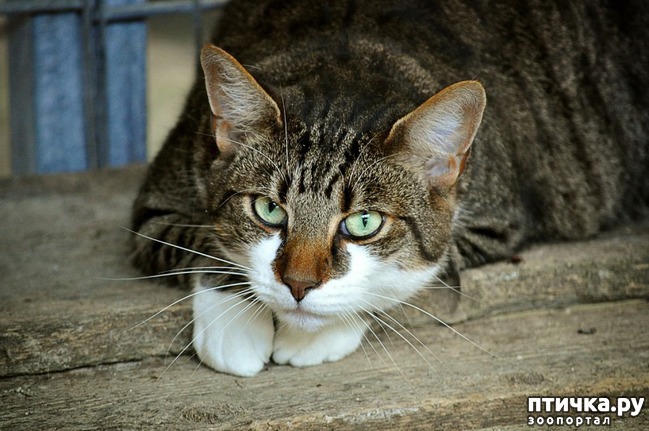 ���� 2: ��� ����� ������������ ���������� ���