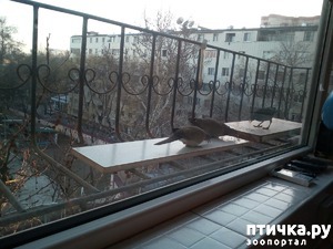 ����: ���� ������